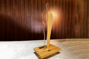 Prêmio Salão de Gramado de Design: inscrições abrem dia 5