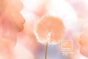 Pantone anuncia a “Peach Fuzz” como cor do ano 2024