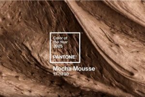 pantone-cor-do-ano-2025-e1733490379525